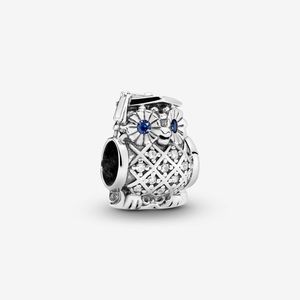 Graduation owl pandora charm
